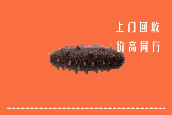 黄石高价回收海参